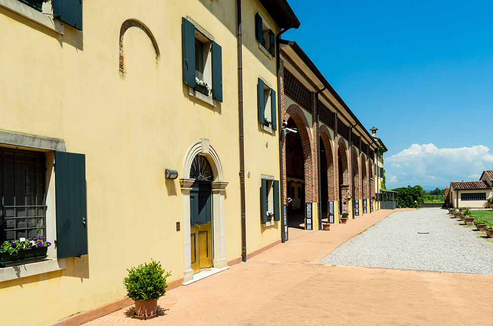 The outside
