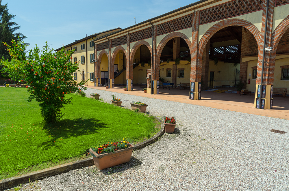 The garden